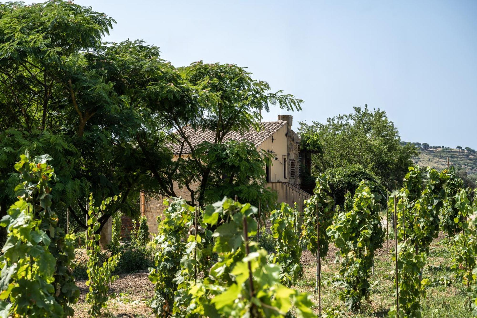 קלטג'ירונה Cottage Immerso Nel Vigneto מראה חיצוני תמונה