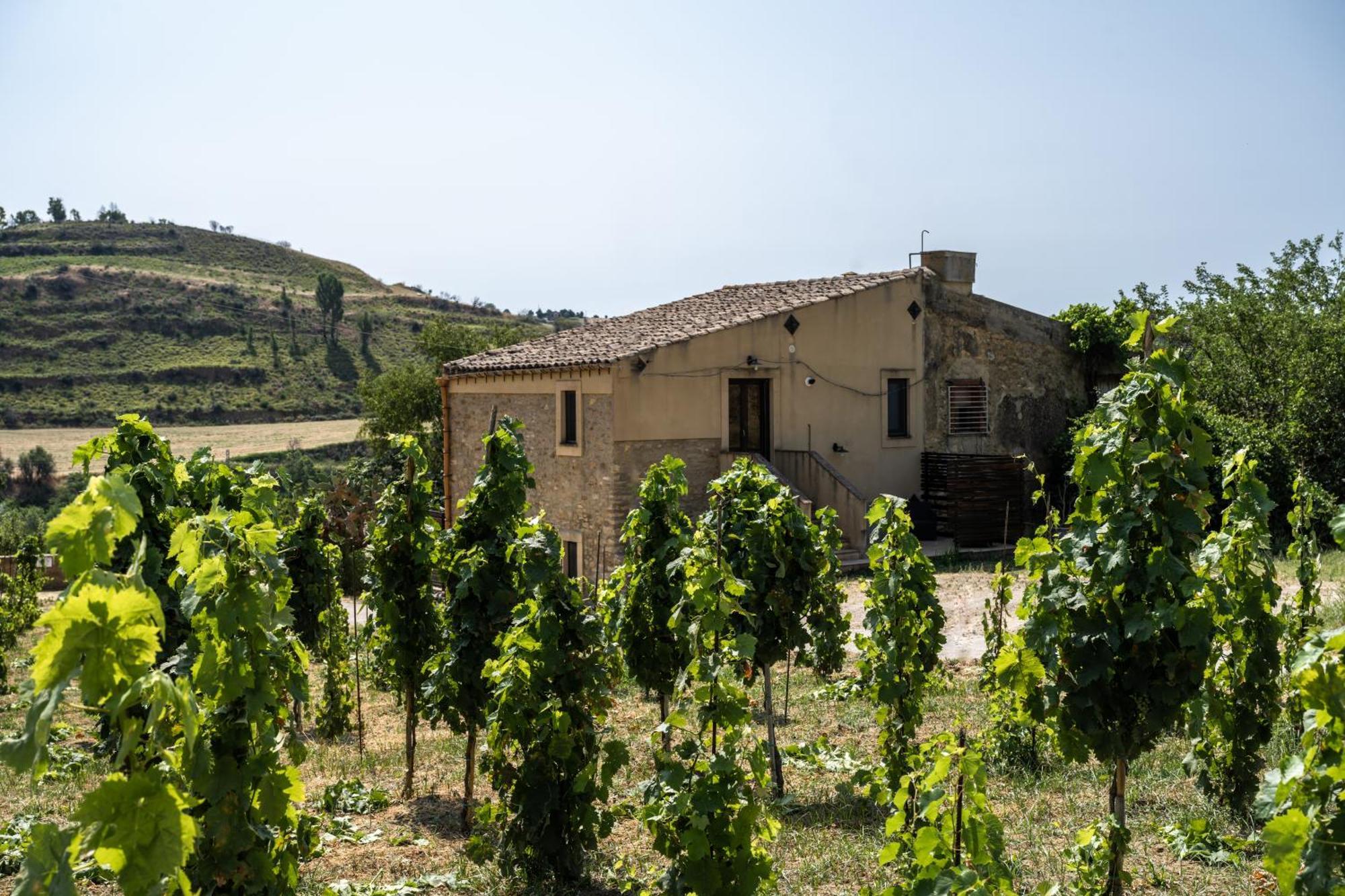 קלטג'ירונה Cottage Immerso Nel Vigneto מראה חיצוני תמונה