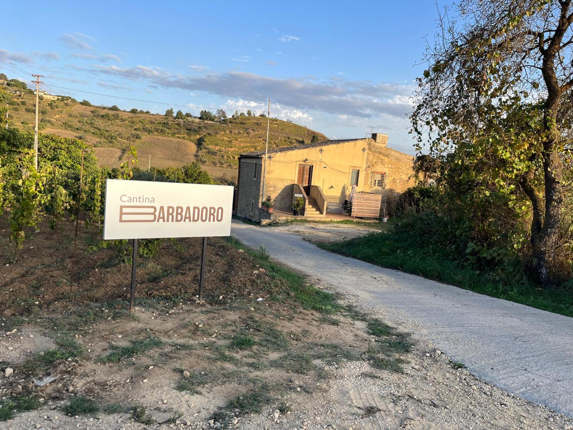 קלטג'ירונה Cottage Immerso Nel Vigneto מראה חיצוני תמונה